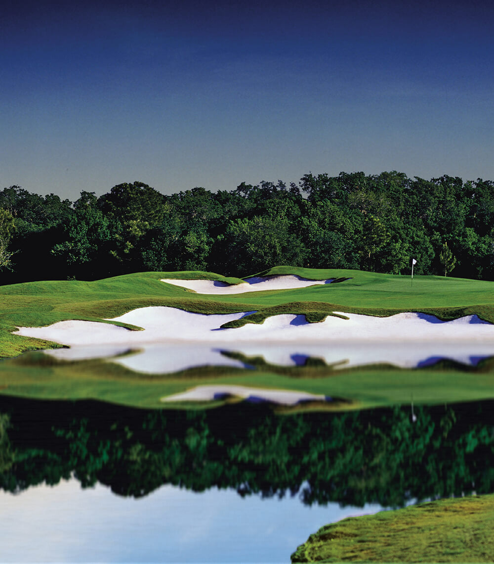 number 5 Cypress Links